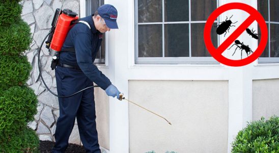 Kozaklı Akrep İlaçlama böcek ilaçlama ve haşere kontrolü — ilaclama-tr.com